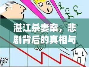 湛江殺妻案,悲劇背后的真相與深度剖析