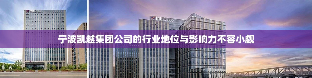 寧波凱越集團公司的行業地位與影響力不容小覷