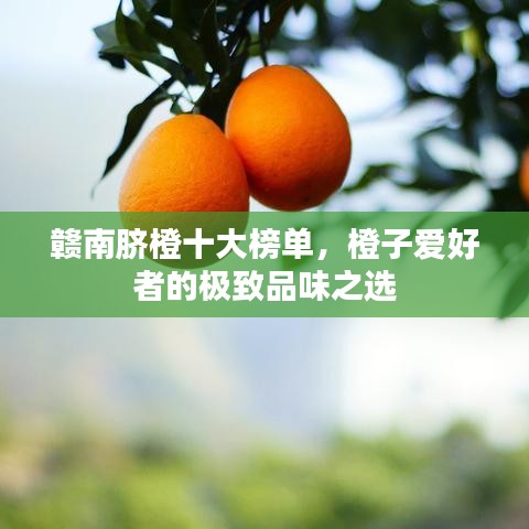 贛南臍橙十大榜單，橙子愛好者的極致品味之選