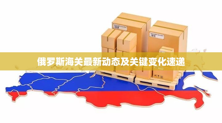 俄羅斯海關最新動態及關鍵變化速遞