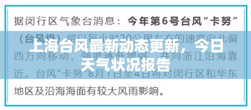 上海臺風最新動態更新,今日天氣狀況報告