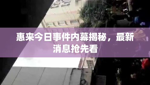 惠來今日事件內幕揭秘,最新消息搶先看