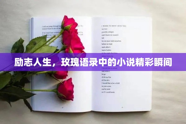 勵志人生,玫瑰語錄中的小說精彩瞬間