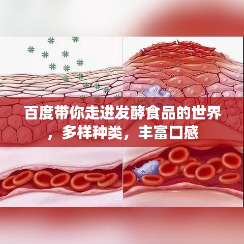 百度帶你走進發酵食品的世界,多樣種類,豐富口感