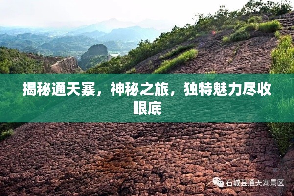 揭秘通天寨,神秘之旅,獨特魅力盡收眼底