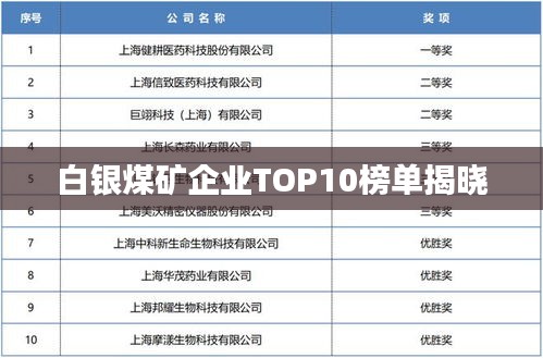 白銀煤礦企業TOP10榜單揭曉