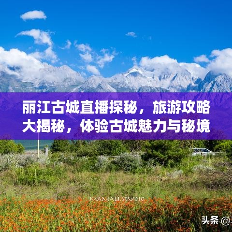 麗江古城直播探秘,旅游攻略大揭秘,體驗古城魅力與秘境之旅!