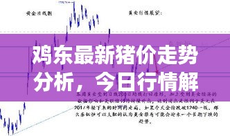 雞東最新豬價(jià)走勢分析,今日行情解讀