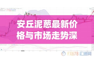 安丘泥蔥最新價(jià)格與市場(chǎng)走勢(shì)深度解析