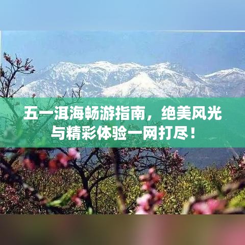 五一洱海暢游指南,絕美風光與精彩體驗一網打盡!