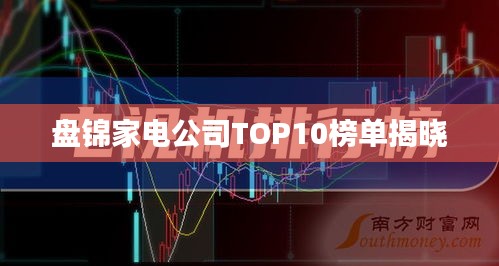 盤錦家電公司TOP10榜單揭曉
