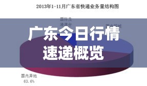 廣東今日行情速遞概覽