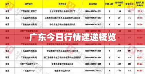 廣東今日行情速遞概覽