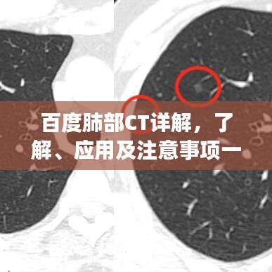 鳥驚魚駭 第3頁(yè)