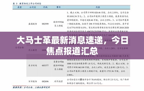 大馬士革最新消息速遞,今日焦點報道匯總