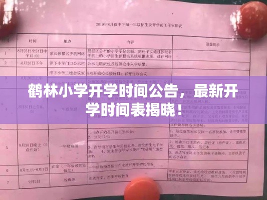 鶴林小學開學時間公告,最新開學時間表揭曉!