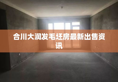 合川大潤發毛坯房最新出售資訊