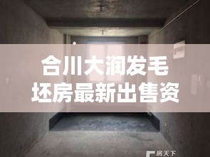 合川大潤發毛坯房最新出售資訊