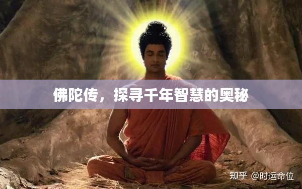 佛陀傳,探尋千年智慧的奧秘