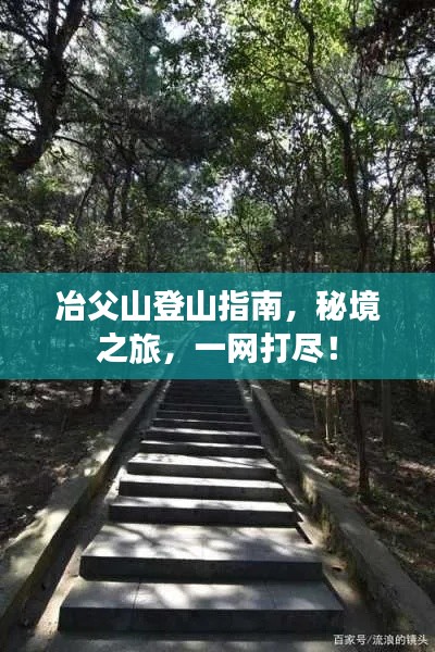 冶父山登山指南,秘境之旅,一網(wǎng)打盡!