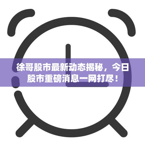 徐哥股市最新動態揭秘,今日股市重磅消息一網打盡!