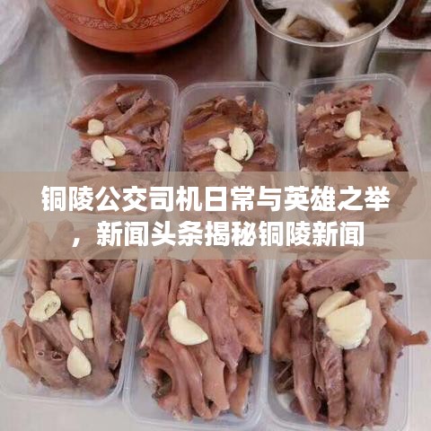 銅陵公交司機日常與英雄之舉,新聞頭條揭秘銅陵新聞