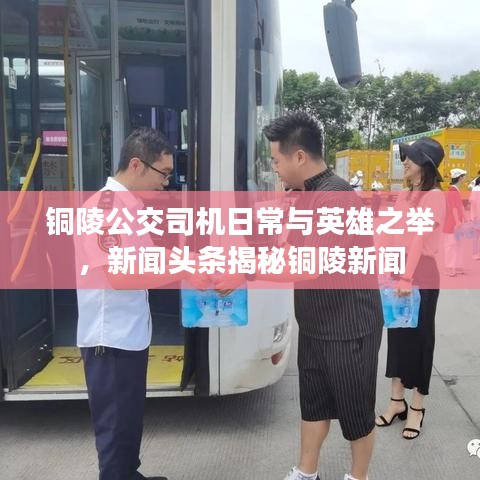 銅陵公交司機日常與英雄之舉,新聞頭條揭秘銅陵新聞