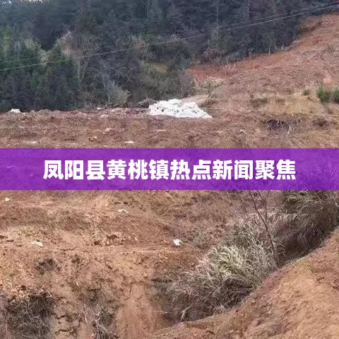 鳳陽縣黃桃鎮熱點新聞聚焦
