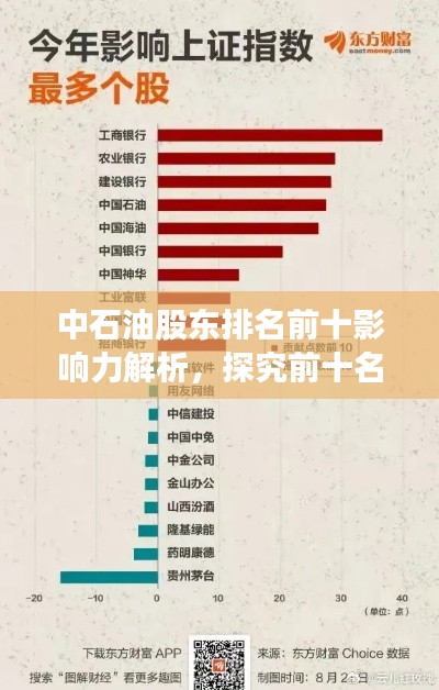 中石油股東排名前十影響力解析，探究前十名股東的持股地位與影響力