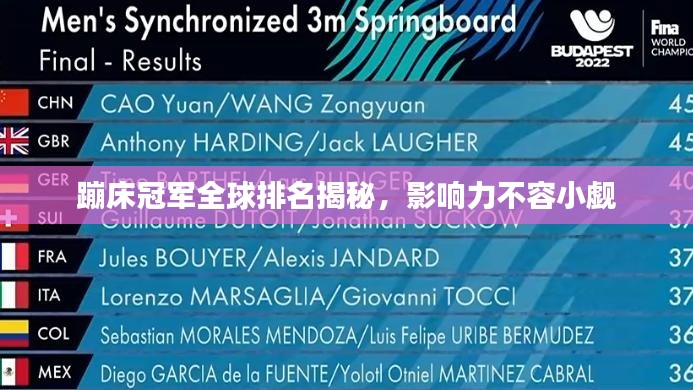 蹦床冠軍全球排名揭秘,影響力不容小覷