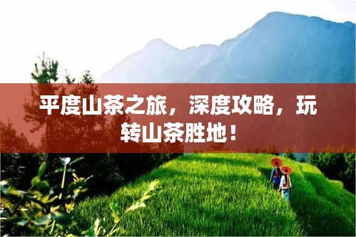 平度山茶之旅,深度攻略,玩轉(zhuǎn)山茶勝地!
