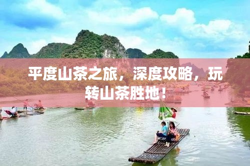 平度山茶之旅,深度攻略,玩轉(zhuǎn)山茶勝地!