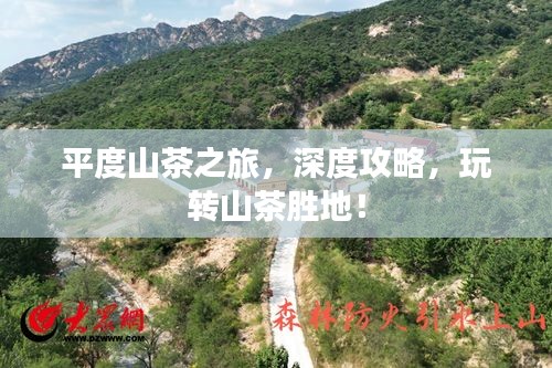 平度山茶之旅,深度攻略,玩轉(zhuǎn)山茶勝地!