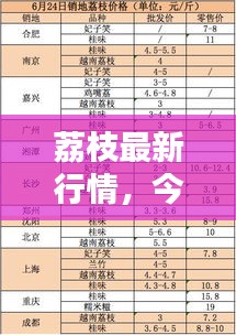 荔枝最新行情,今日價格走勢分析