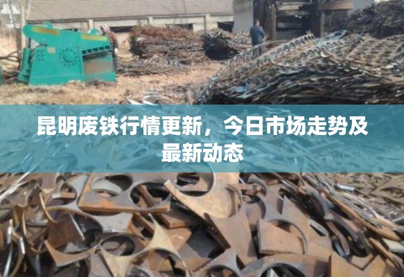 昆明廢鐵行情更新,今日市場走勢及最新動態