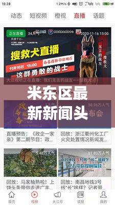 米東區最新新聞頭條揭秘,今日熱點事件一網打盡!
