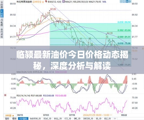 臨潁最新油價今日價格動態揭秘,深度分析與解讀