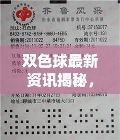 雙色球最新資訊揭秘,彩界掀起新篇章!