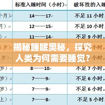 揭秘睡眠奧秘,探究人類為何需要睡覺?