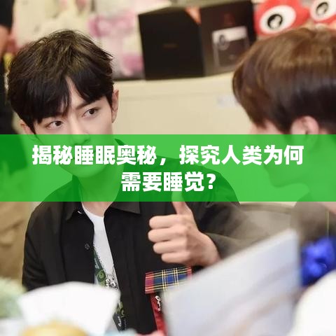 揭秘睡眠奧秘,探究人類為何需要睡覺?