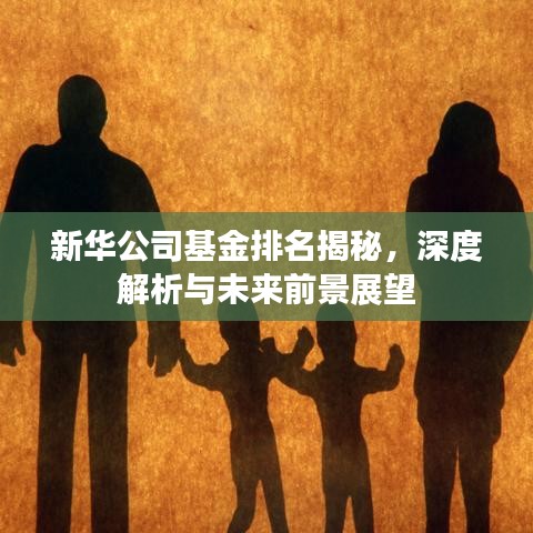 新華公司基金排名揭秘，深度解析與未來前景展望