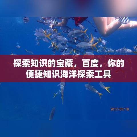 探索知識的寶藏,百度,你的便捷知識海洋探索工具