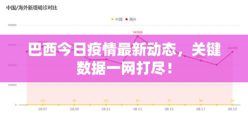 巴西今日疫情最新動態,關鍵數據一網打盡!