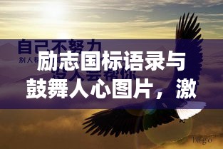 勵志國標語錄與鼓舞人心圖片,激發潛能,勇往直前!