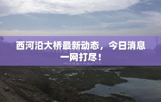 西河沿大橋最新動態,今日消息一網打盡!