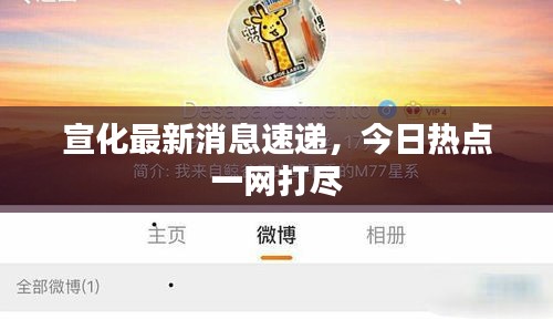 宣化最新消息速遞，今日熱點一網打盡