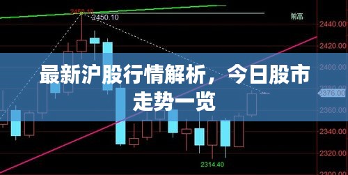 最新滬股行情解析,今日股市走勢一覽
