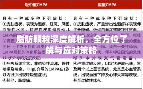 脂肪顆粒深度解析,全方位了解與應對策略