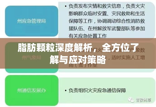 脂肪顆粒深度解析,全方位了解與應對策略