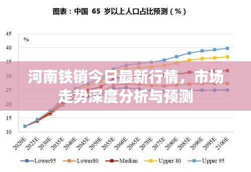 河南鐵銷今日最新行情,市場走勢深度分析與預測